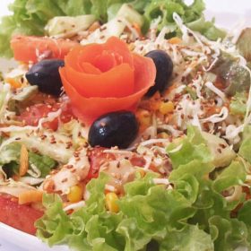 Vegetarijanska obrok salata
