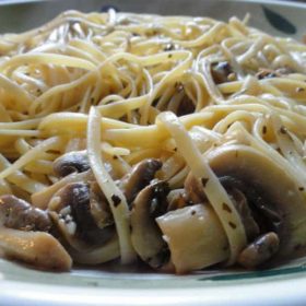 Pasta fungi