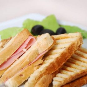 Tost 230 rsd Tost