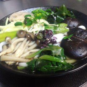 Kinoko Udon