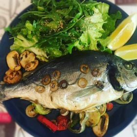 Gilt-head bream delivery