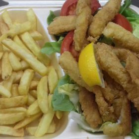 Catfish fillet sticks delivery