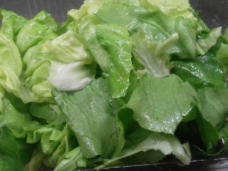 Zelena salata Pantela dostava