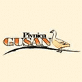 Gusan food delivery Novi Sad