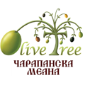 Olive Tree food delivery Internacional cuisine
