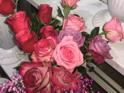 Ruže miks boje ekadorske Jovanina Cvećarica dostava