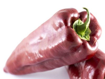 Paprika crvena šilja Piljarnica Grejp 2022 dostava
