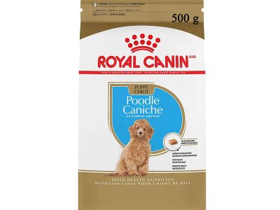 8009. Royal Canin Poodle Puppy 500g Švrća Pet Shop dostava