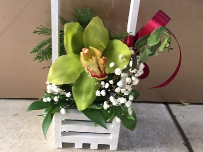 Aranžman u korpi - Orhideja, Gipsofila, zelenilo Jovanina Cvećarica dostava