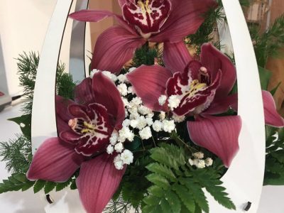 Aranžman u kutiji - Orhideje, Gipsofila, zelenilo Jovanina Cvećarica dostava