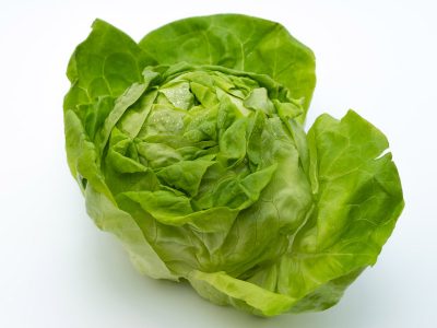 Zelena salata Piljarnica Grejp 2022 dostava