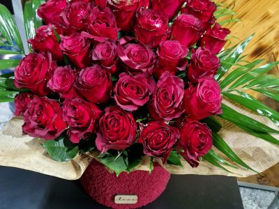 29 ruža tedy box Lotos Cvećara dostava