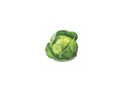 Young cabbage Piljarnica Grejp 2022 delivery