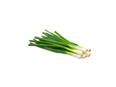 Spring onion Piljarnica Grejp 2022 delivery