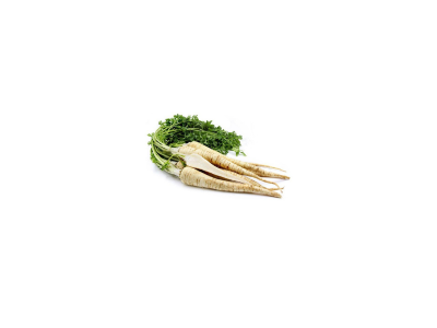 Parsley root Piljarnica Grejp 2022 delivery