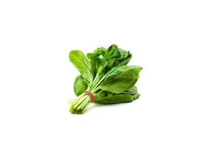 Spinach Piljarnica Grejp 2022 delivery