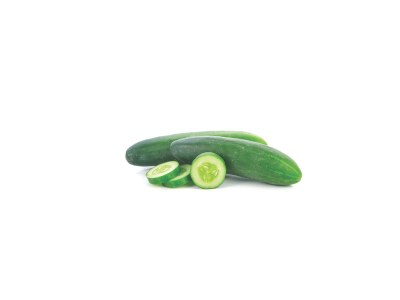 Cucumber Piljarnica Grejp 2022 delivery