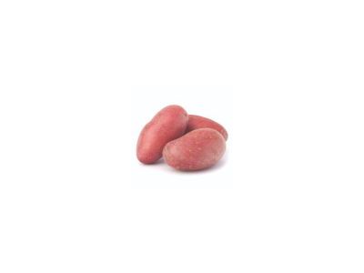 French red potatoes Piljarnica Grejp 2022 delivery