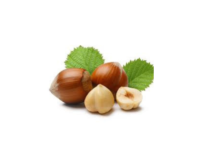 Hazelnut Piljarnica Grejp 2022 delivery