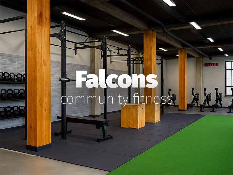 Falcons Novo