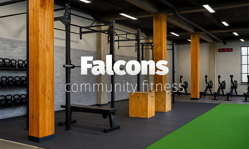 Falcons Novo