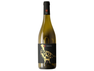 Žir Sauvignon Blanc - belo vino Teroar Vinoteka dostava