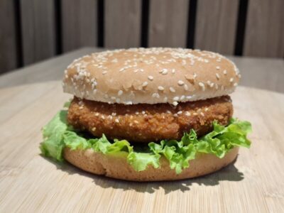 Chicken burger Hopster dostava