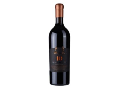 Kamnik Syrah Ten Barrels Wine Art dostava