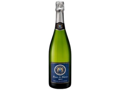 Penušava Vina
