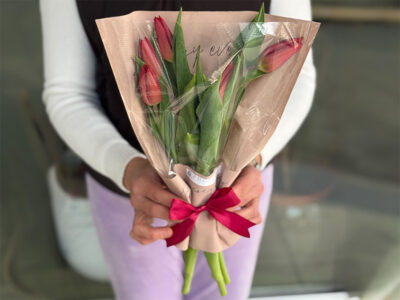 Lale u kesici crvene Provance Cvećara delivery
