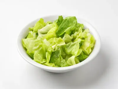 Zelena salata Rakijator Kuhinjica dostava