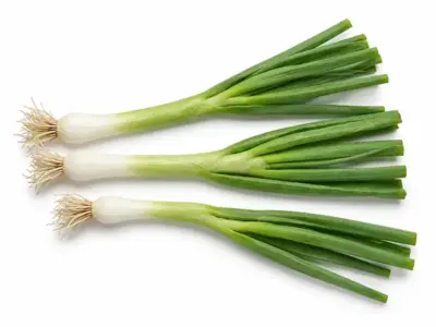Spring onion portion Tri Praseta delivery